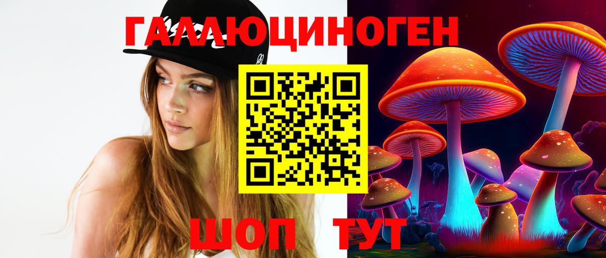 Псилоцибиновые грибы Psilocybe  Вход с VPN  Зерноград 