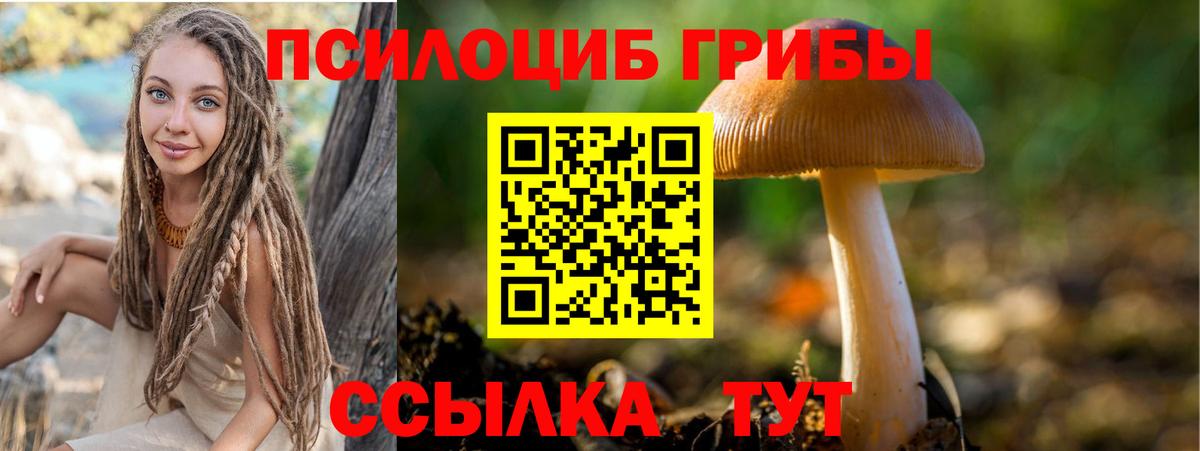 Псилоцибиновые грибы Cubensis Зерноград